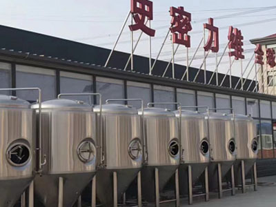 皮山精酿啤酒设备厂—市场规模与跨界新需求